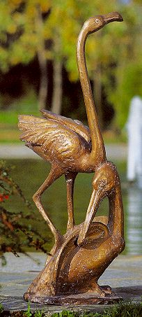 kraanvogel en pelikaan
