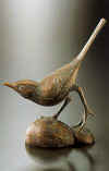 rank vogeltje