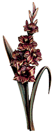 ornam_9.gif (7376 bytes)